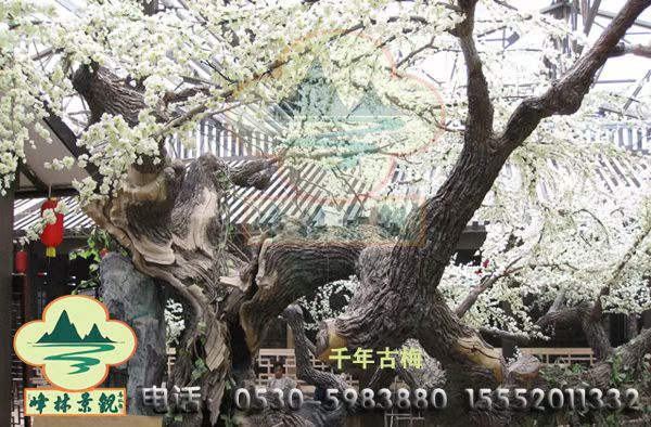 产品6